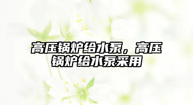 高壓鍋爐給水泵，高壓鍋爐給水泵采用