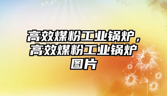 高效煤粉工業(yè)鍋爐，高效煤粉工業(yè)鍋爐圖片