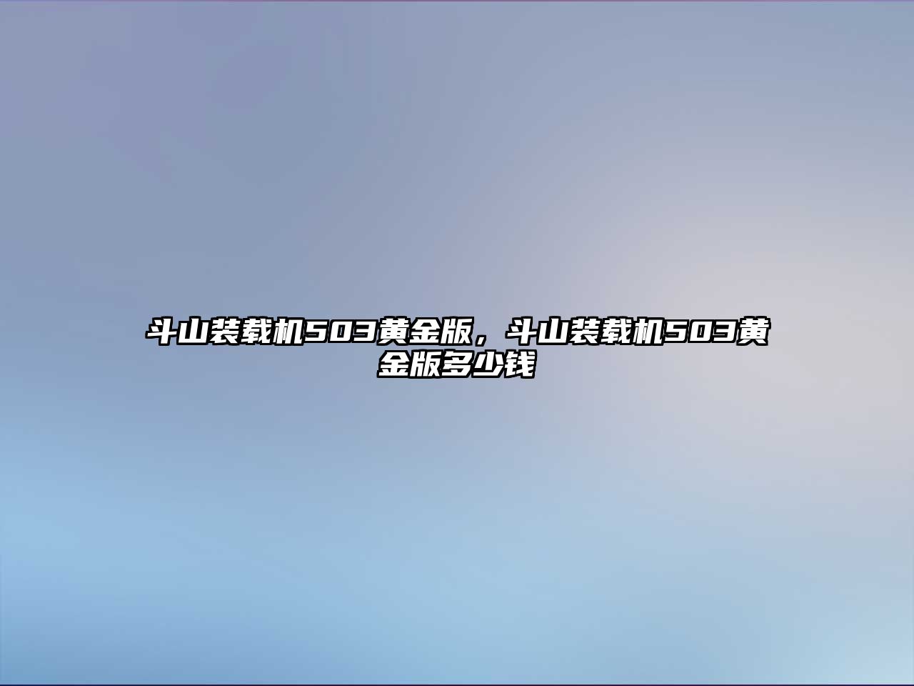 斗山裝載機(jī)503黃金版，斗山裝載機(jī)503黃金版多少錢(qián)