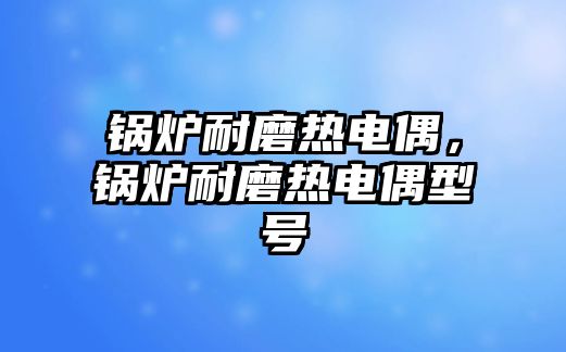 鍋爐耐磨熱電偶，鍋爐耐磨熱電偶型號