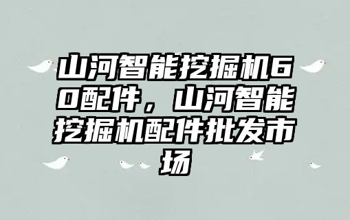 山河智能挖掘機(jī)60配件，山河智能挖掘機(jī)配件批發(fā)市場(chǎng)