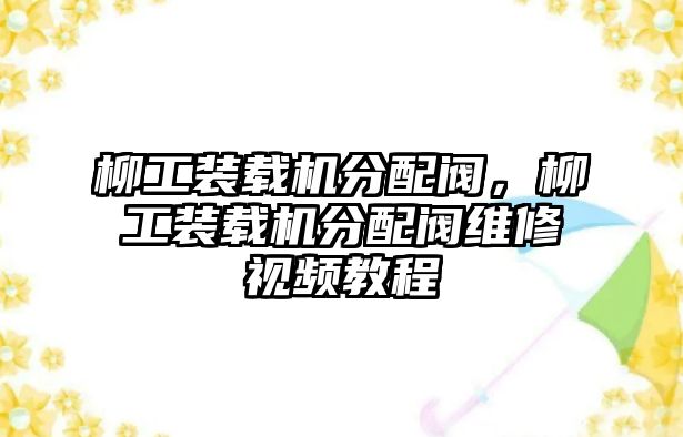 柳工裝載機分配閥，柳工裝載機分配閥維修視頻教程