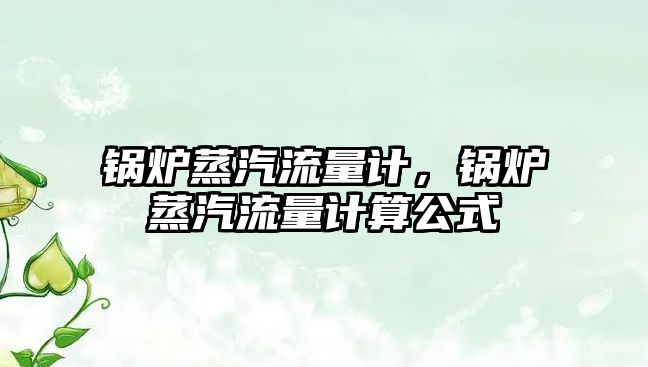 鍋爐蒸汽流量計(jì)，鍋爐蒸汽流量計(jì)算公式