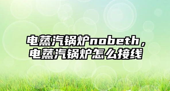 電蒸汽鍋爐nobeth，電蒸汽鍋爐怎么接線