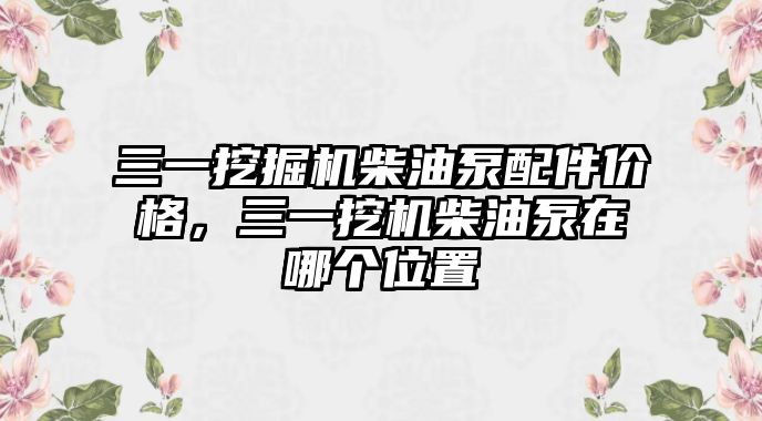 三一挖掘機(jī)柴油泵配件價格，三一挖機(jī)柴油泵在哪個位置