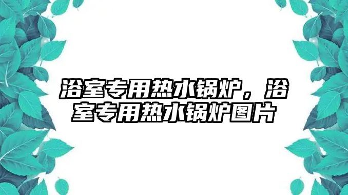 浴室專用熱水鍋爐，浴室專用熱水鍋爐圖片