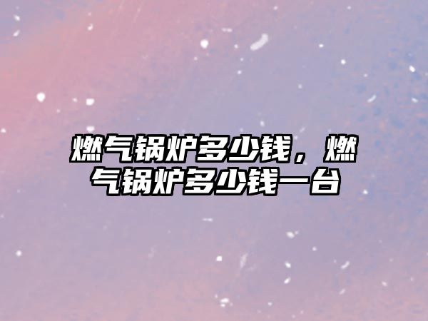 燃?xì)忮仩t多少錢，燃?xì)忮仩t多少錢一臺