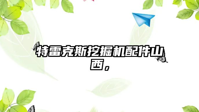 特雷克斯挖掘機配件山西，