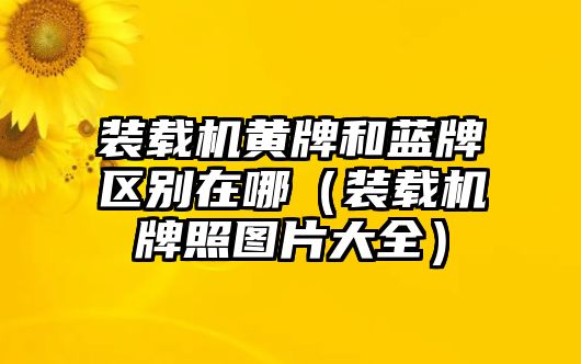 裝載機(jī)黃牌和藍(lán)牌區(qū)別在哪（裝載機(jī)牌照?qǐng)D片大全）