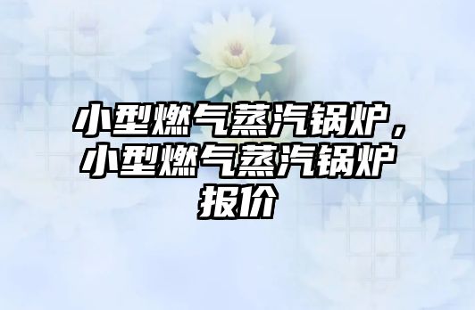 小型燃?xì)庹羝仩t，小型燃?xì)庹羝仩t報(bào)價(jià)