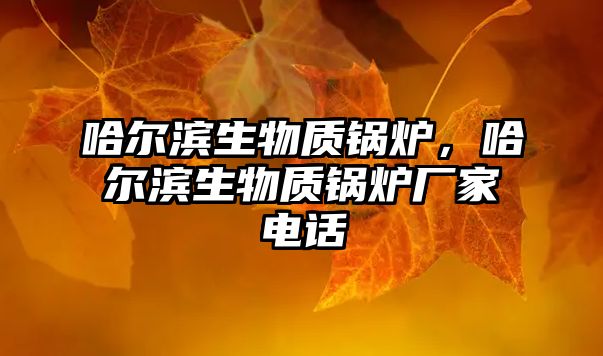 哈爾濱生物質(zhì)鍋爐，哈爾濱生物質(zhì)鍋爐廠家電話