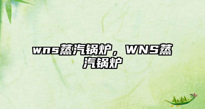 wns蒸汽鍋爐，WNS蒸汽鍋爐