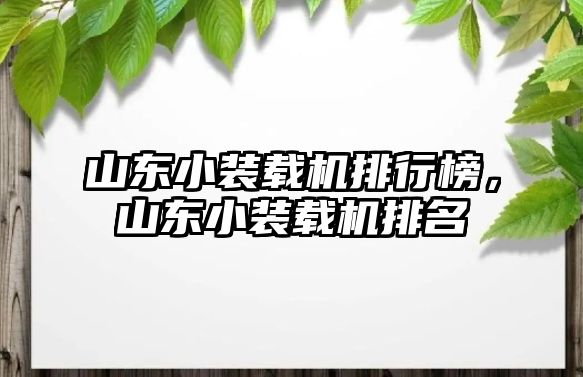 山東小裝載機排行榜，山東小裝載機排名