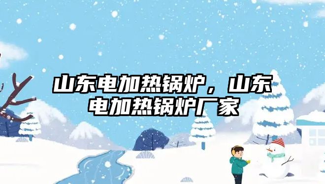 山東電加熱鍋爐，山東電加熱鍋爐廠家