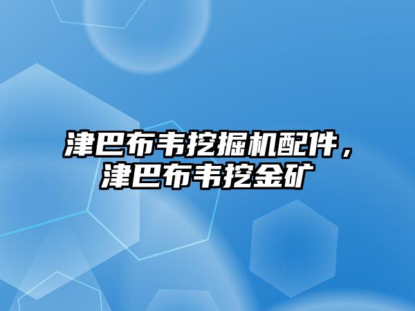 津巴布韋挖掘機(jī)配件，津巴布韋挖金礦