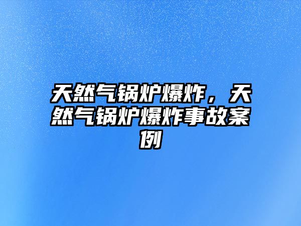 天然氣鍋爐爆炸，天然氣鍋爐爆炸事故案例