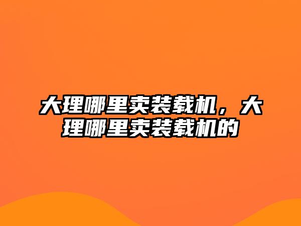 大理哪里賣裝載機，大理哪里賣裝載機的