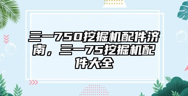 三一750挖掘機(jī)配件濟(jì)南，三一75挖掘機(jī)配件大全