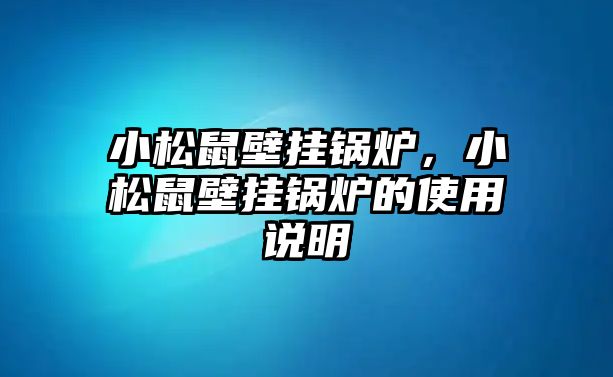 小松鼠壁掛鍋爐，小松鼠壁掛鍋爐的使用說明