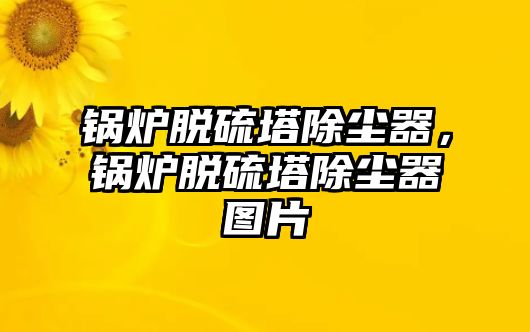 鍋爐脫硫塔除塵器，鍋爐脫硫塔除塵器圖片