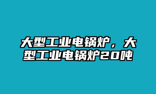 大型工業(yè)電鍋爐，大型工業(yè)電鍋爐20噸