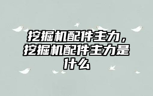 挖掘機配件主力，挖掘機配件主力是什么