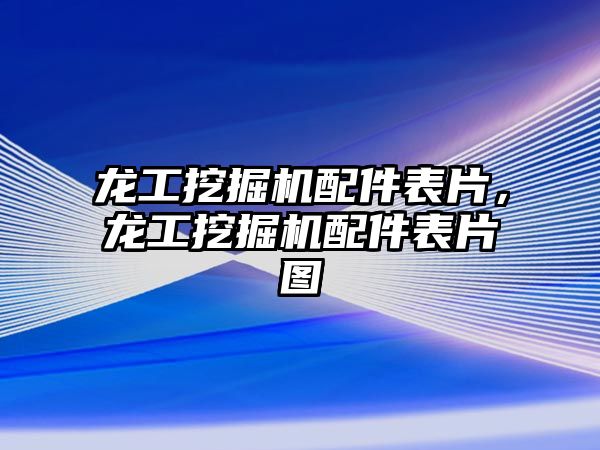 龍工挖掘機配件表片，龍工挖掘機配件表片圖