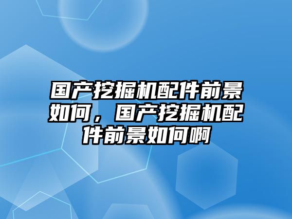 國產(chǎn)挖掘機配件前景如何，國產(chǎn)挖掘機配件前景如何啊