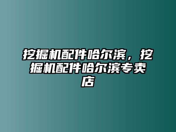 挖掘機配件哈爾濱，挖掘機配件哈爾濱專賣店