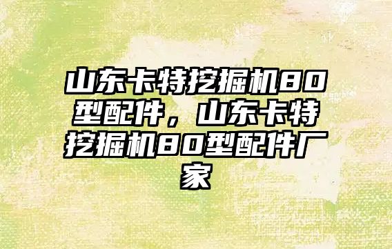 山東卡特挖掘機(jī)80型配件，山東卡特挖掘機(jī)80型配件廠家