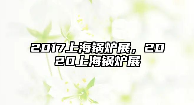 2017上海鍋爐展，2020上海鍋爐展