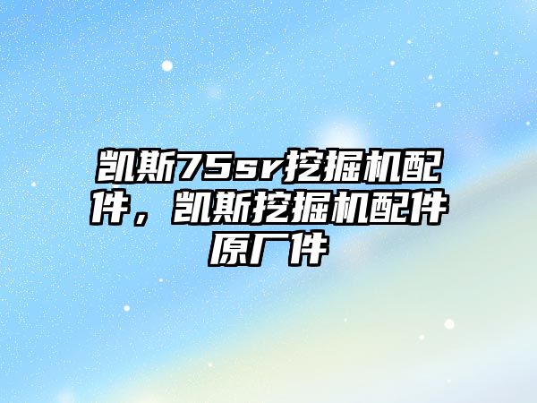 凱斯75sr挖掘機配件，凱斯挖掘機配件原廠件