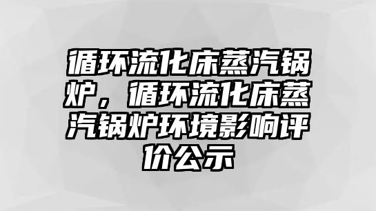 循環(huán)流化床蒸汽鍋爐，循環(huán)流化床蒸汽鍋爐環(huán)境影響評(píng)價(jià)公示