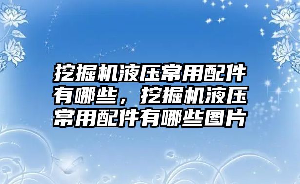 挖掘機液壓常用配件有哪些，挖掘機液壓常用配件有哪些圖片