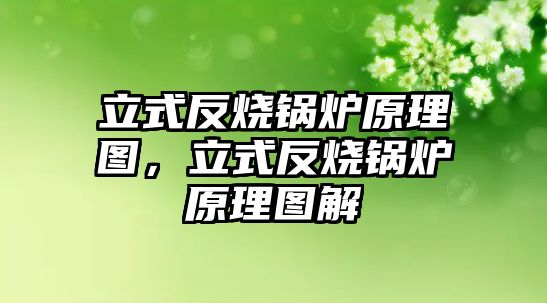 立式反燒鍋爐原理圖，立式反燒鍋爐原理圖解