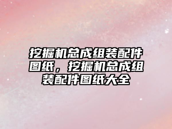 挖掘機總成組裝配件圖紙，挖掘機總成組裝配件圖紙大全