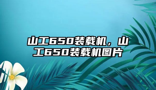 山工650裝載機，山工650裝載機圖片