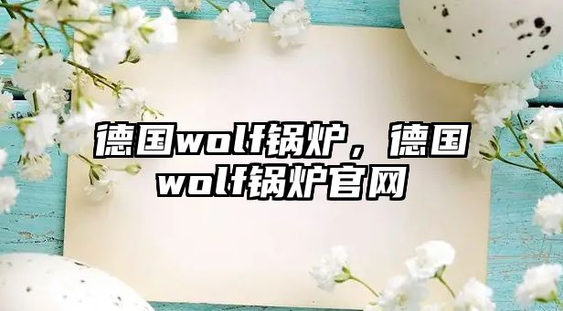 德國wolf鍋爐，德國wolf鍋爐官網(wǎng)