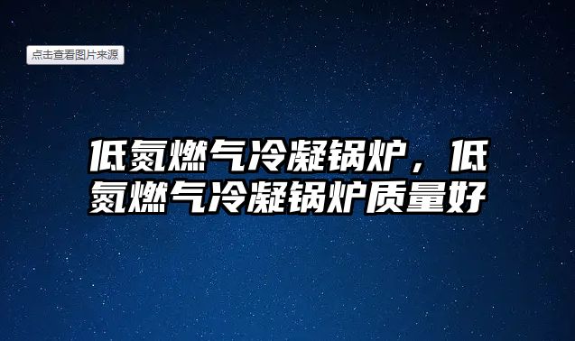 低氮燃?xì)饫淠仩t，低氮燃?xì)饫淠仩t質(zhì)量好