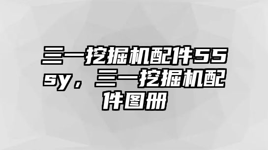 三一挖掘機配件55sy，三一挖掘機配件圖冊