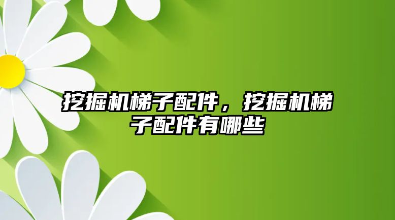 挖掘機梯子配件，挖掘機梯子配件有哪些