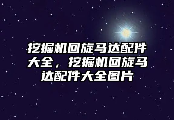 挖掘機回旋馬達配件大全，挖掘機回旋馬達配件大全圖片