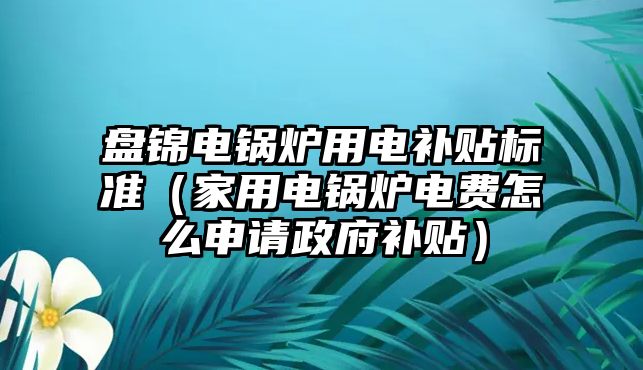 盤錦電鍋爐用電補貼標(biāo)準(zhǔn)（家用電鍋爐電費怎么申請政府補貼）