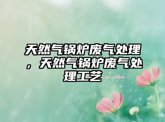 天然氣鍋爐廢氣處理，天然氣鍋爐廢氣處理工藝