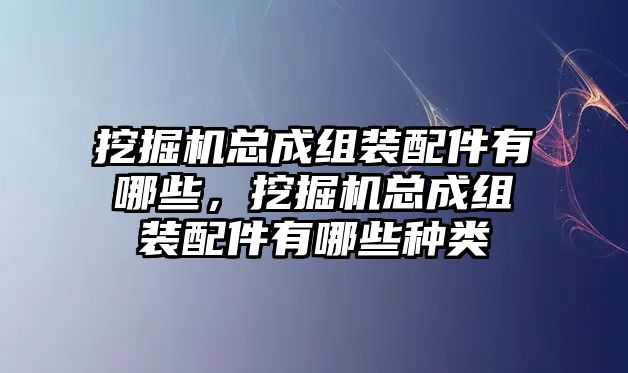 挖掘機總成組裝配件有哪些，挖掘機總成組裝配件有哪些種類