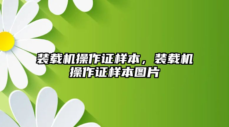 裝載機操作證樣本，裝載機操作證樣本圖片