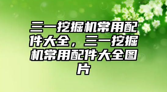 三一挖掘機常用配件大全，三一挖掘機常用配件大全圖片