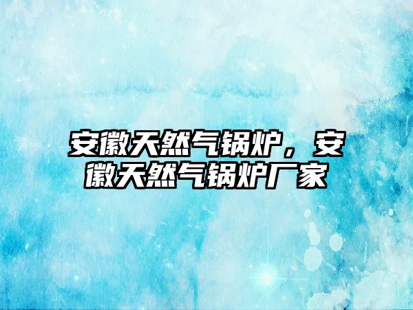 安徽天然氣鍋爐，安徽天然氣鍋爐廠家