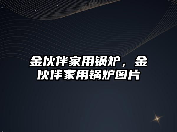 金伙伴家用鍋爐，金伙伴家用鍋爐圖片