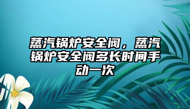 蒸汽鍋爐安全閥，蒸汽鍋爐安全閥多長(zhǎng)時(shí)間手動(dòng)一次